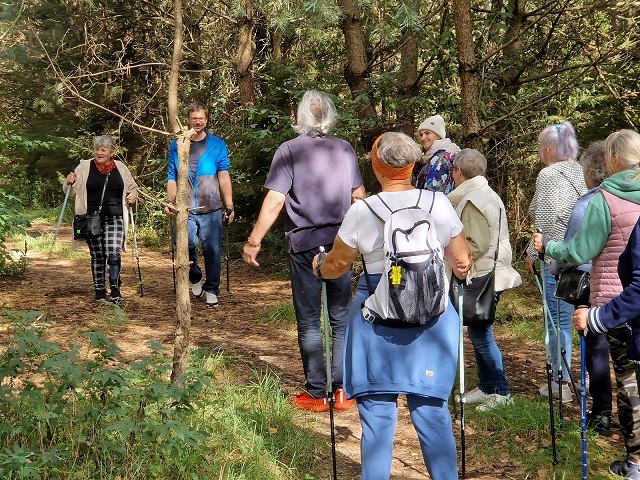 uczestnicy spotkania w lesie podczas spaceru nordic walking