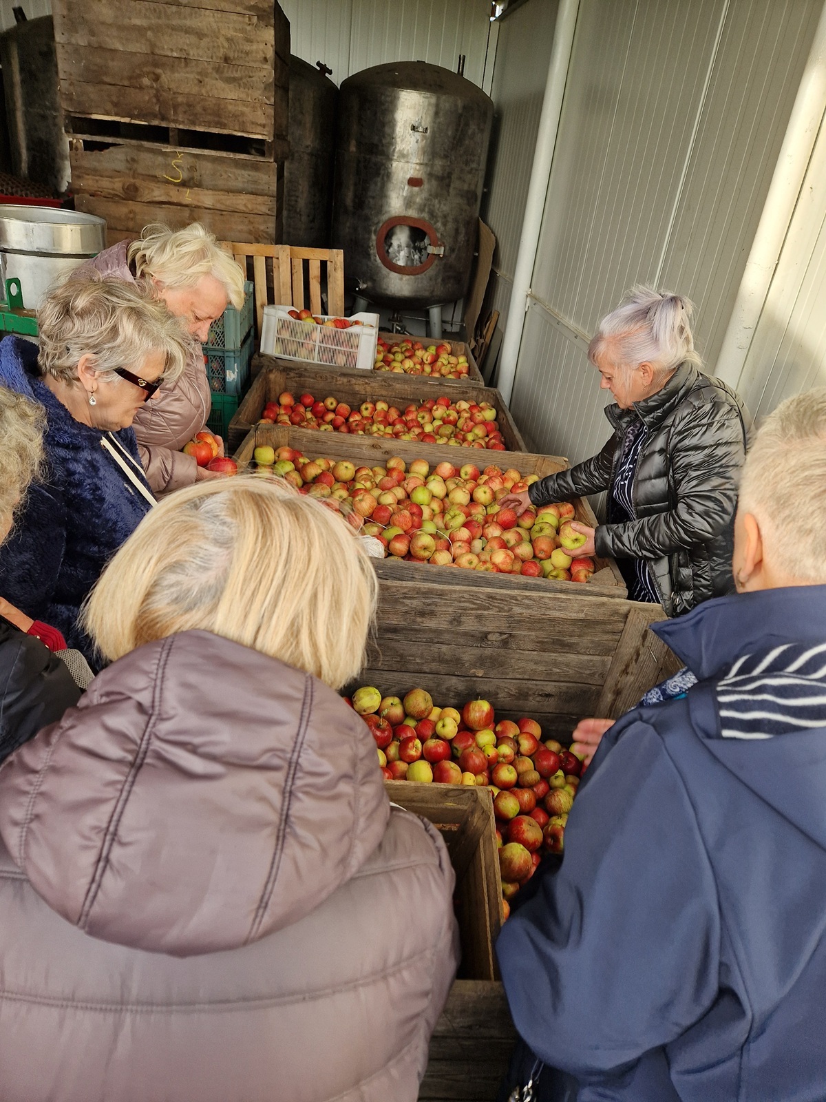 zdjęcie przedstawia uczestników wycieczki stojących nad skrzyniami z jabłkami 