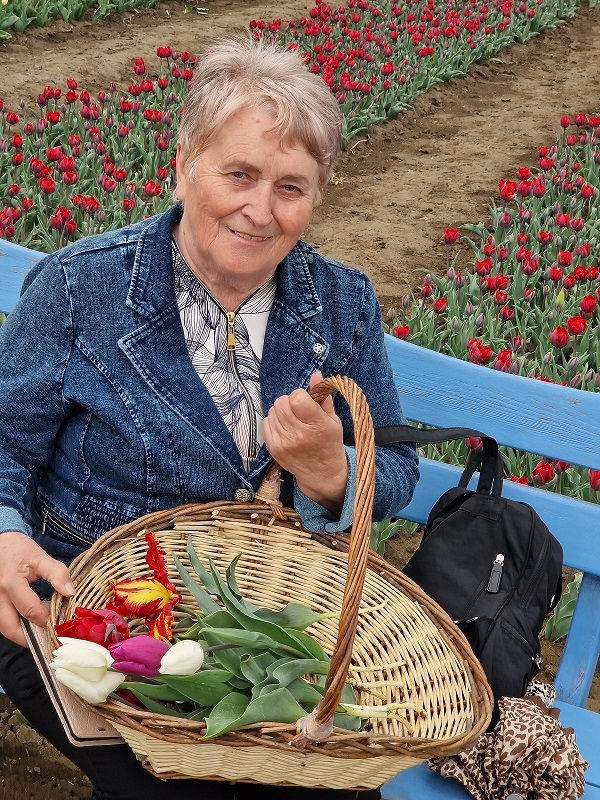uczestniczka wycieczki siedząca na niebieskiej drewnianej ławeczce z koszem wiklinowym tulipanów