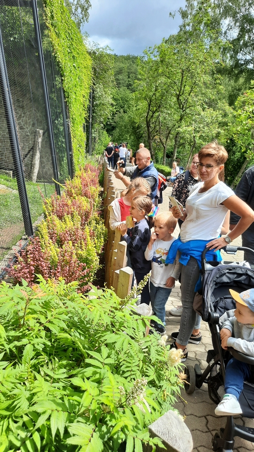 uczestnicy wycieczki spacerujący po terenie zoo